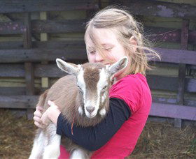 Eden Orchard And Farmstay - Accommodation Fremantle 2