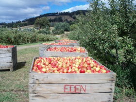Eden Orchard And Farmstay - Accommodation Fremantle 1