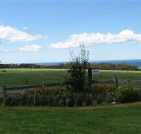 Blueberry B  B - Accommodation Fremantle