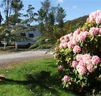 Zeehan Bush Camp  and Caravan Park - Accommodation Fremantle