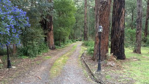 Wattle Tree Creek Cottages - Accommodation Fremantle 5