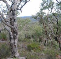 The Glen - Accommodation Fremantle