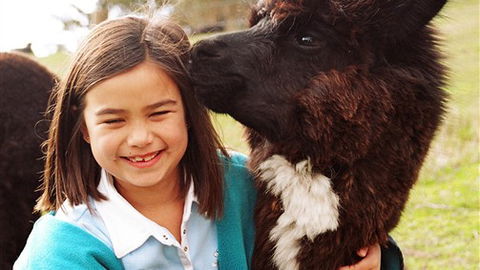 Sabrelyn Park - Accommodation Fremantle 1