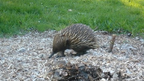 Sabrelyn Park - Accommodation Fremantle 5