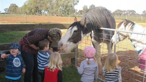 Cabarita Lodge - Accommodation Fremantle 4