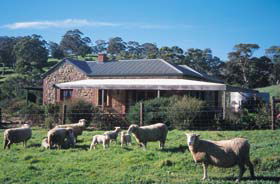 Amanda Stichbury Cottage - Accommodation Fremantle 0