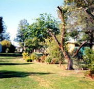 Condamine River Caravan Park - Accommodation Fremantle