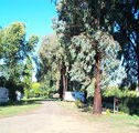 Cudal Caravan Park - Accommodation Fremantle