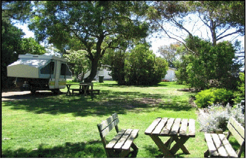 Millicent Hillview Caravan Park - Accommodation Fremantle 2