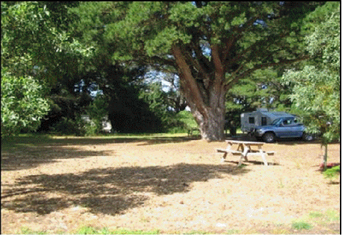 Millicent Hillview Caravan Park - Accommodation Fremantle 4