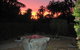 Bromeliad Bed And Breakfast - thumb 14