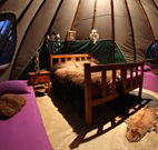 Aranyani Bison Adventure Tourist Park - Accommodation Fremantle