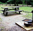 Bellbird campground - Accommodation Fremantle