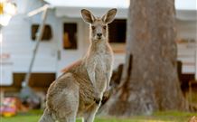 BIG4 Sunshine South West Rocks Holiday Park - South - Accommodation Fremantle 3