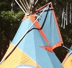 Central Coast Eco Tours - Accommodation Fremantle