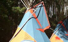Central Coast Eco Tours - Accommodation Fremantle 0