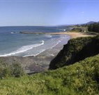 Coledale Beach Camping Reserve - Accommodation Fremantle