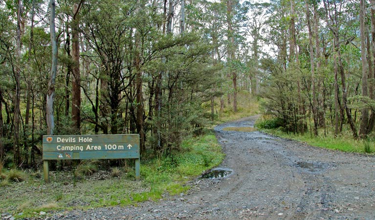 Barrington Tops NSW Accommodation Fremantle