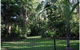 Rumbalara B&B - thumb 0