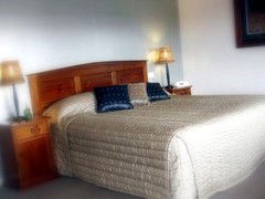 Saltbush Motor Inn - Accommodation Fremantle 4