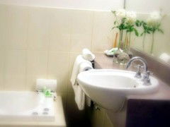 Saltbush Motor Inn - Accommodation Fremantle 5