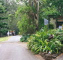 Tamborine Mountain Caravan  Camping - Accommodation Fremantle