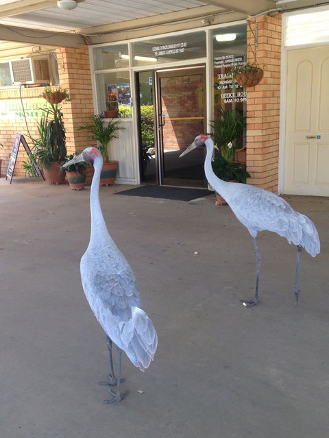 Jumbuck Motel Longreach - Accommodation Fremantle 4