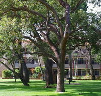 Trinity - Accommodation Fremantle