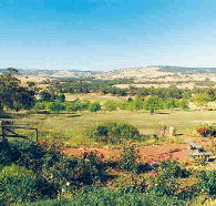 Pecan Hill Bed and Breakfast - Accommodation Fremantle