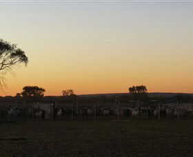 Goodwood Stationstay - Accommodation Fremantle 1