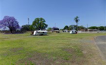 Grafton Showground Caravan Park - Accommodation Fremantle 0