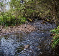 Horse Swamp campground - Accommodation Fremantle