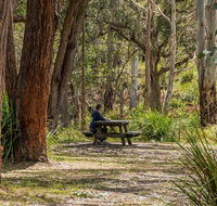 Koreelah Creek campground - Accommodation Fremantle