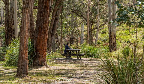 Koreelah Creek Campground - Accommodation Fremantle 0