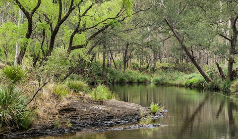 Koreelah Creek Campground - Accommodation Fremantle 1