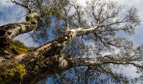 Little Murray Campground - Accommodation Fremantle 2