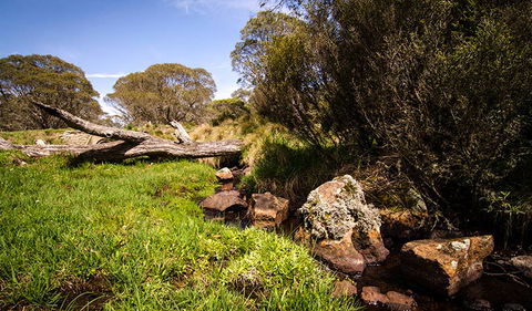 Little Murray Campground - Accommodation Fremantle 1
