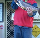 Rainbow Pines Tourist Caravan Park - Accommodation Fremantle