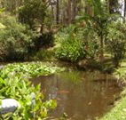 Tallowood Ridge B and B - Accommodation Fremantle