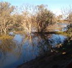 Warrawong on the Darling - Accommodation Fremantle