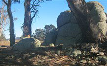 Warreen Farmstay Rural Accommodation - Accommodation Fremantle 0
