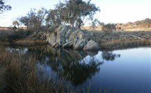 Warreen Farmstay Rural Accommodation - Accommodation Fremantle 4