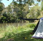 Williams River Holiday Park - Accommodation Fremantle