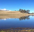 Bombala Maneroo Motel - Bombala - Accommodation Fremantle