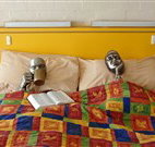 Budget Winchester Motel - Moree - Accommodation Fremantle