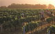 Hunter Valley Resort - Pokolbin - thumb 7