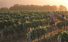 Hunter Valley Resort - Pokolbin - Accommodation Fremantle 7
