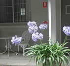 Pine Lodge Motel - Woolgoolga - Accommodation Fremantle