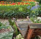 The Carrington Inn - Accommodation Fremantle