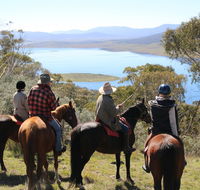 Reynella Homestead and Horseback Rides - Accommodation Fremantle